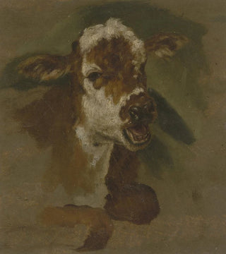 Head of Livestock - Adriaen van de Velde — artwork view