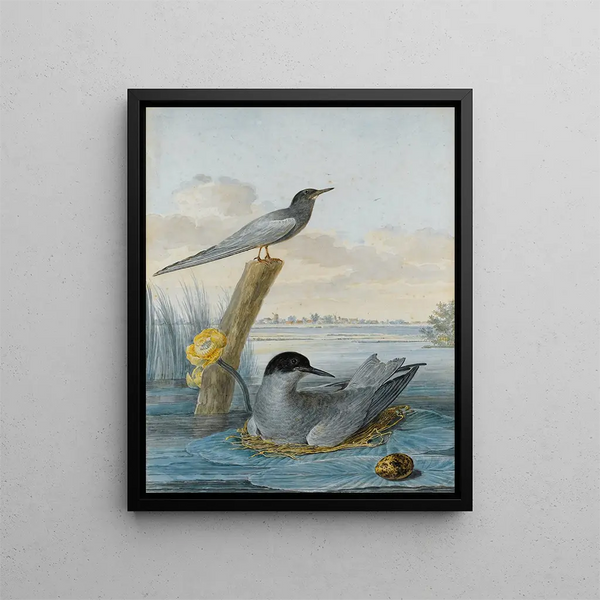 a couple of black terns with nest and egg in a river landscape - Aert Schouman — framed artwork on a wall