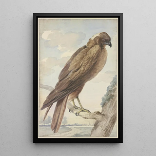 A kite - Aert Schouman — framed artwork on a wall