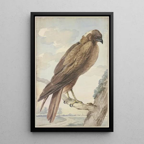 A kite - Aert Schouman — framed artwork on a wall