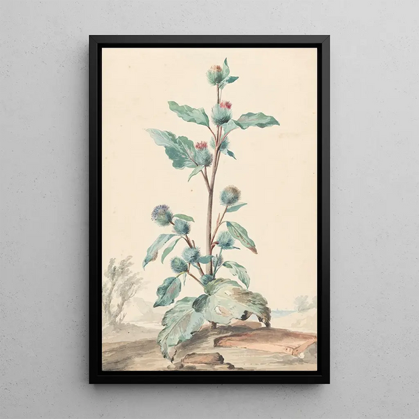 Chardon - Aert Schouman — framed artwork on a wall