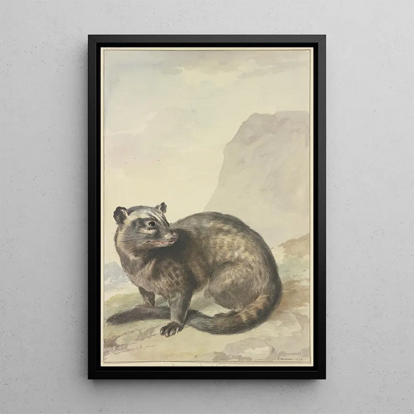 A Strange Civet Cat - Aert Schouman — framed artwork on a wall