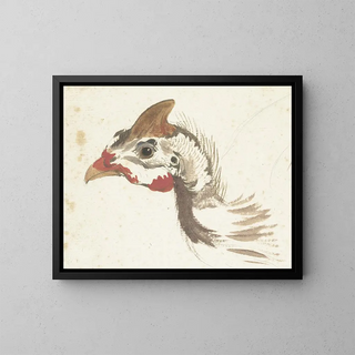 Head of a helmeted guinea fowl - Aert Schouman — framed artwork on a wall