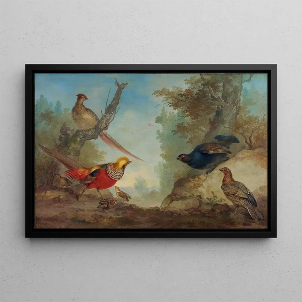 Pheasants - Aert Schouman — framed artwork on a wall