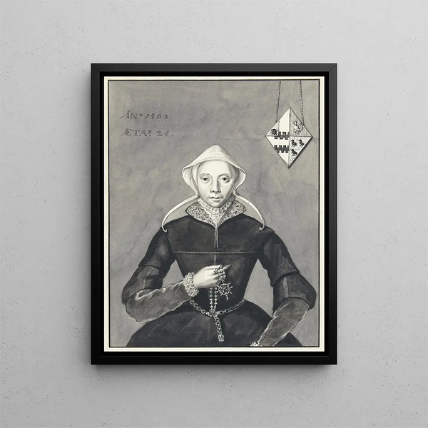 Portrait of a woman bearing the arms of Van Slingelandt-Brouwer - Aert Schouman — framed artwork on a wall