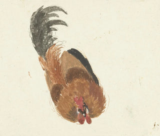Study of a Dead Rooster - Aert Schouman — artwork view