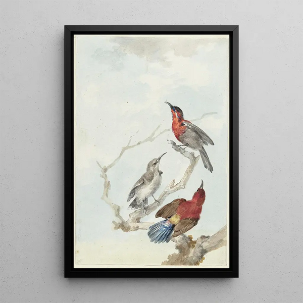 Reproduction of the painting Trois souimangas écarlates - Aert Schouman