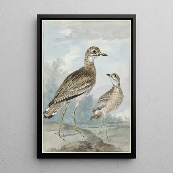 Two Grebes - Aert Schouman — framed artwork on a wall