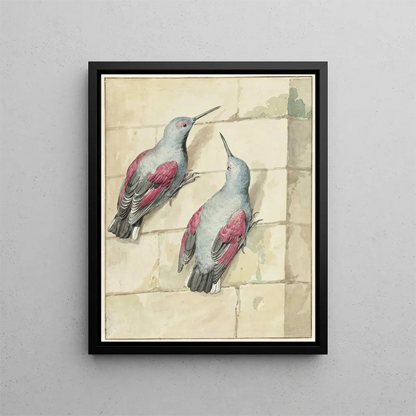 Two blue and purple climbing plants on a wall - Aert Schouman — framed artwork on a wall