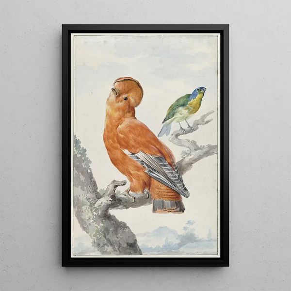 Two Exotic Birds - Aert Schouman — framed artwork on a wall