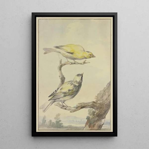 Two Canaries - Aert Schouman — framed artwork on a wall
