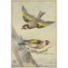 Deux chardonnerets - Aert Schouman — artwork view