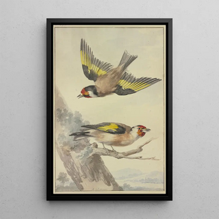 Aert Schouman - Two goldfinches.webp