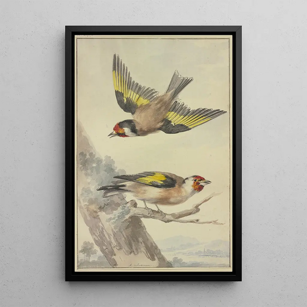 Deux chardonnerets - Aert Schouman — framed artwork on a wall