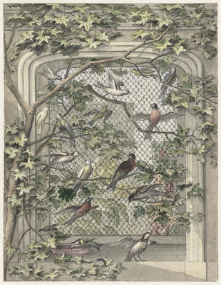 Birdcage with fourteen birds - Aert Schouman — artwork view