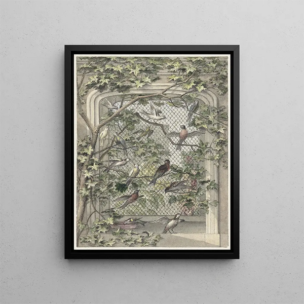 Birdcage with fourteen birds - Aert Schouman — framed artwork on a wall