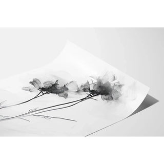 Affiche design noir et blanc - Évanescence Florale