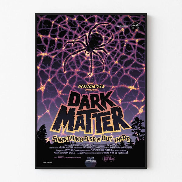 Vintage NASA Poster - Dark Matter 2020