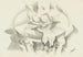 Abstract Painting - After Auguste Rodin — artwork view