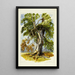 Reproduction of the painting Winding Tree - After David Hall McKewan