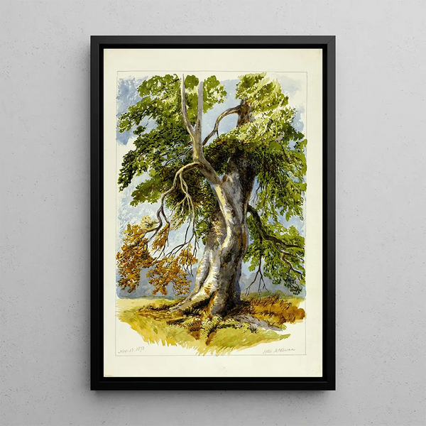 Reproduction of the painting Winding Tree - After David Hall McKewan