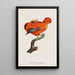 The male Rock Pigeon - After Jacques Barraband — framed artwork on a wall