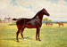 Double champion stallion pony Berkeley Model - After Penry Powell Palfrey — artwork view