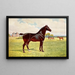 Double champion stallion pony Berkeley Model - After Penry Powell Palfrey — framed artwork on a wall