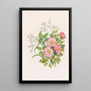 the First Wild Rose-Leaf Penstemon - Agnes Fitzgibbon — framed artwork on a wall