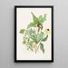 Reproduction of the painting Indian Turnip Orchid Vibrant Cut Painted Cut Scarlet Echinacea - Agnes Fitzgibbon
