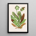 Plant with Jug - Agnes Fitzgibbon — framed artwork on a wall