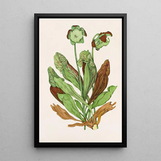 Plant with Jug - Agnes Fitzgibbon — framed artwork on a wall