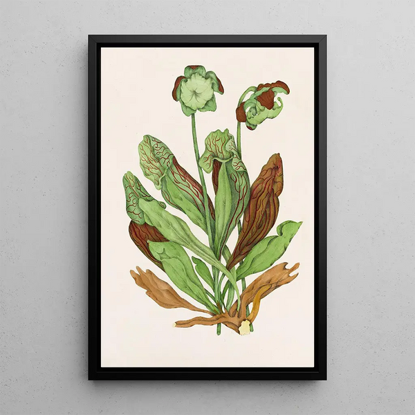 Plant with Jug - Agnes Fitzgibbon — framed artwork on a wall
