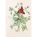 Heart of Squirrel Trille Purple Geranium Wild Starry Flower - Agnes Fitzgibbon — artwork view