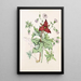 Heart of Squirrel Trille Purple Geranium Wild Starry Flower - Agnes Fitzgibbon — framed artwork on a wall