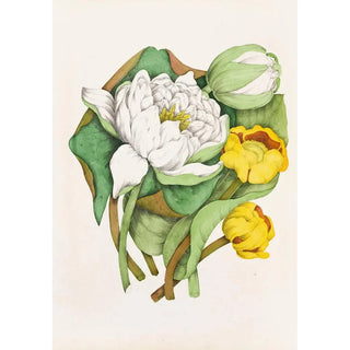 Nénuphar Parfumé Nénuphar Jaune - Agnes Fitzgibbon — artwork view