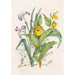 Sabots de Vénus Jaunes Grande Iris Bleue Petite Canneberge - Agnes Fitzgibbon — artwork view