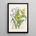 Sabots de Vénus Jaunes Grande Iris Bleue Petite Canneberge - Agnes Fitzgibbon — framed artwork on a wall