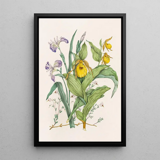 Sabots de Vénus Jaunes Grande Iris Bleue Petite Canneberge - Agnes Fitzgibbon — framed artwork on a wall
