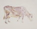Stende ko - Agnes Lunn — artwork view
