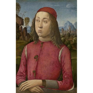 Portrait of a Young Man - Agnolo di Domenico del Mazziere — artwork view