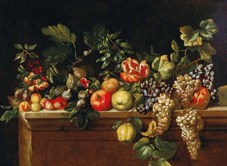 Apples, grapes, figs, pomegranates and other fruits on a ledge - Agostino Verrocchio — artwork view