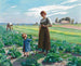 The Lettuce Garden - Aimé Perret — artwork view