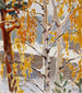 Première neige - Akseli Gallen-Kallela — artwork view