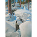 The Lynx's Lair - Akseli Gallen-Kallela — artwork view