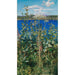 Angelic Wild Painting - Akseli Gallen-Kallela — artwork view
