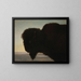 Head of Buffalo - Albert Bierstadt — framed artwork on a wall