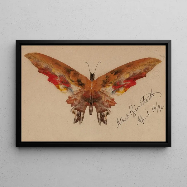 Butterfly Painting - Albert Bierstadt — framed artwork on a wall