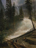 Nevada Falls at Yosemite - Albert Bierstadt — artwork view