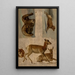 Study of mouflons and antelopes - Albert Bierstadt — framed artwork on a wall